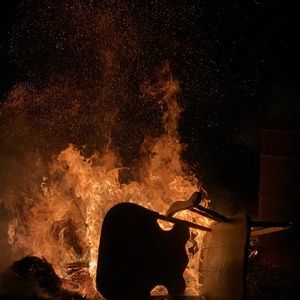 Meet your Posher, Delaney